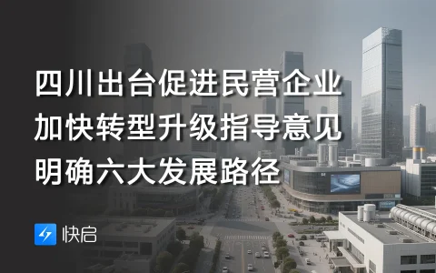 四川出台促进民营企业加快转型升级指导意见，明确六大发展路径
